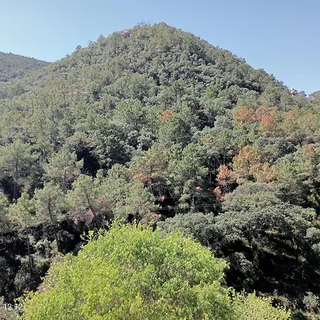 펜션 Casa Del Cerro Eslida